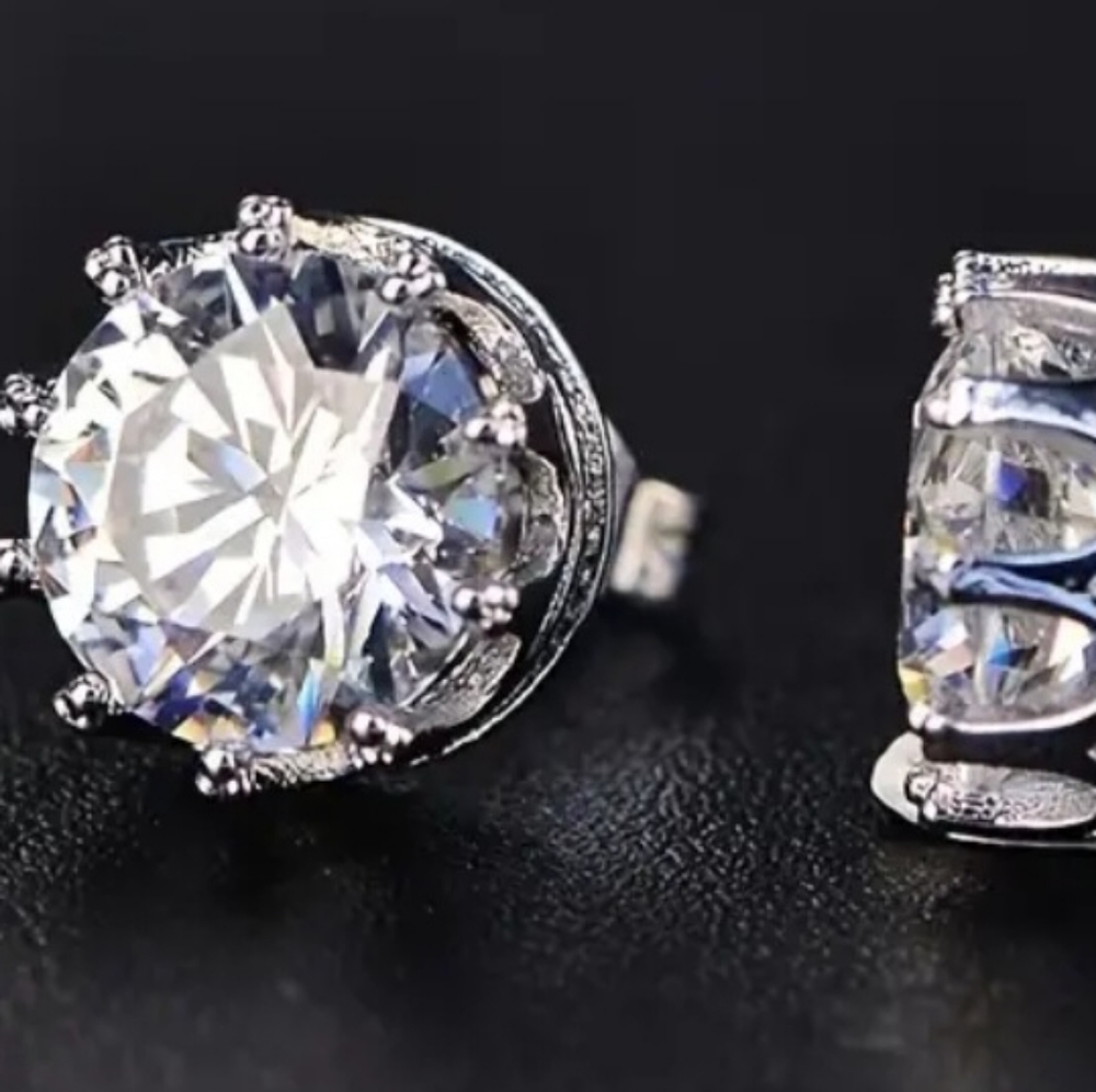 Men's stainless steel earrings